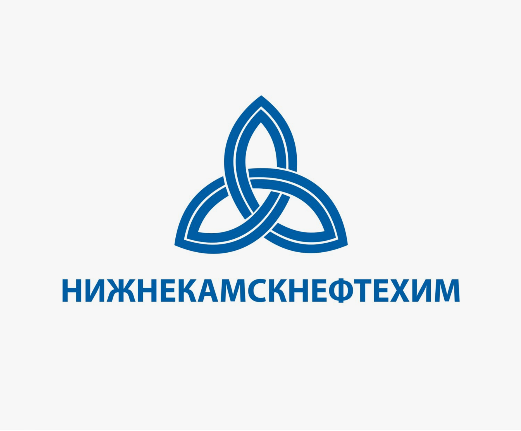 Нижнекамскнефтехим