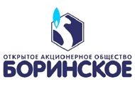 Напольный газовый котел Боринское АКГВ - 11,6 САБК - изображение 3
