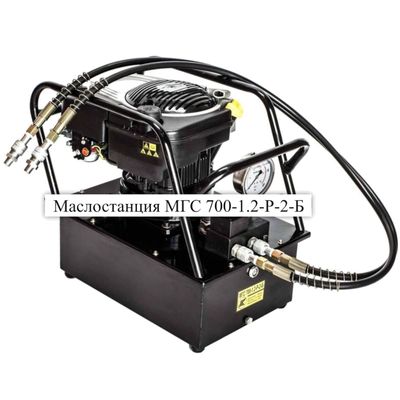 Маслостанция Инстан МГС700-0.9П-Э-2ГГ-1-ATEX-Р6м-К6м-220В (полуавтоматическая) - изображение 5