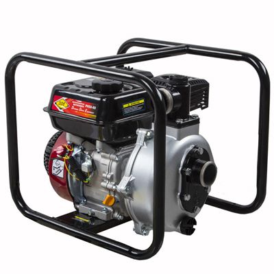 Мотопомпа бензиновая грязевая DDE PTR100H - изображение 7