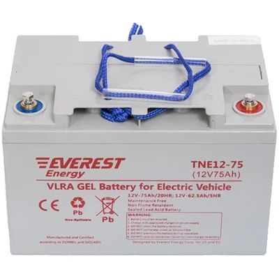 Литиевый тяговый аккумулятор Everest LFP-24V162AH - изображение 7