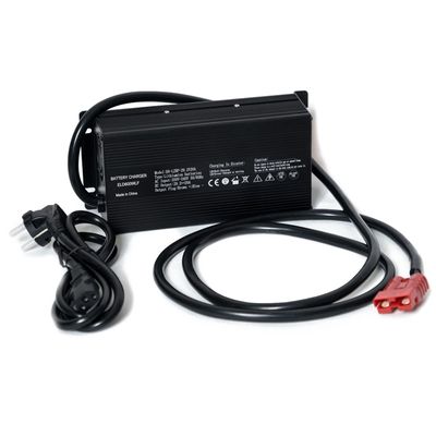 Зарядное устройство Everest LFP-24V60A - изображение 10