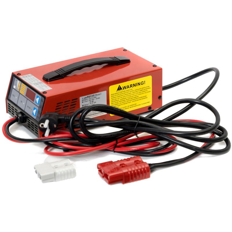 Зарядное устройство Everest LFP-24V80A - изображение 2