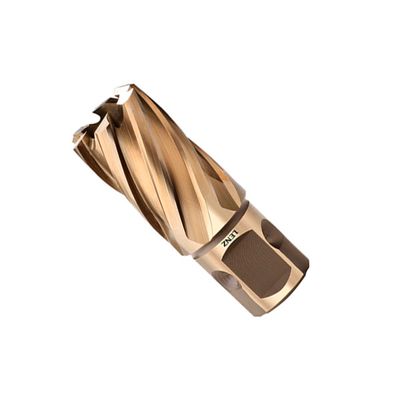 Кольцевая фреза Lenz LZTM 100x50 мм - изображение 6