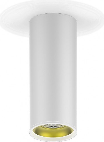 Потолочный светодиодный светильник GAUSS HD012 overhead накл цил 12w 900lm 3000k белый золото