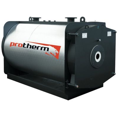 Настенный газовый котел Protherm Рысь К 18/25 MKV - изображение 8