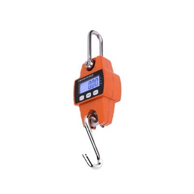 Весы электронные крановые TOR OCS-L 100 кг