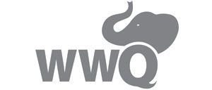 Мотопомпа бензиновая WWQ WРH15 - изображение 3